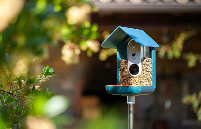 Cinq Meilleures Mangeoires à Oiseaux Avec Caméras Intelligentes